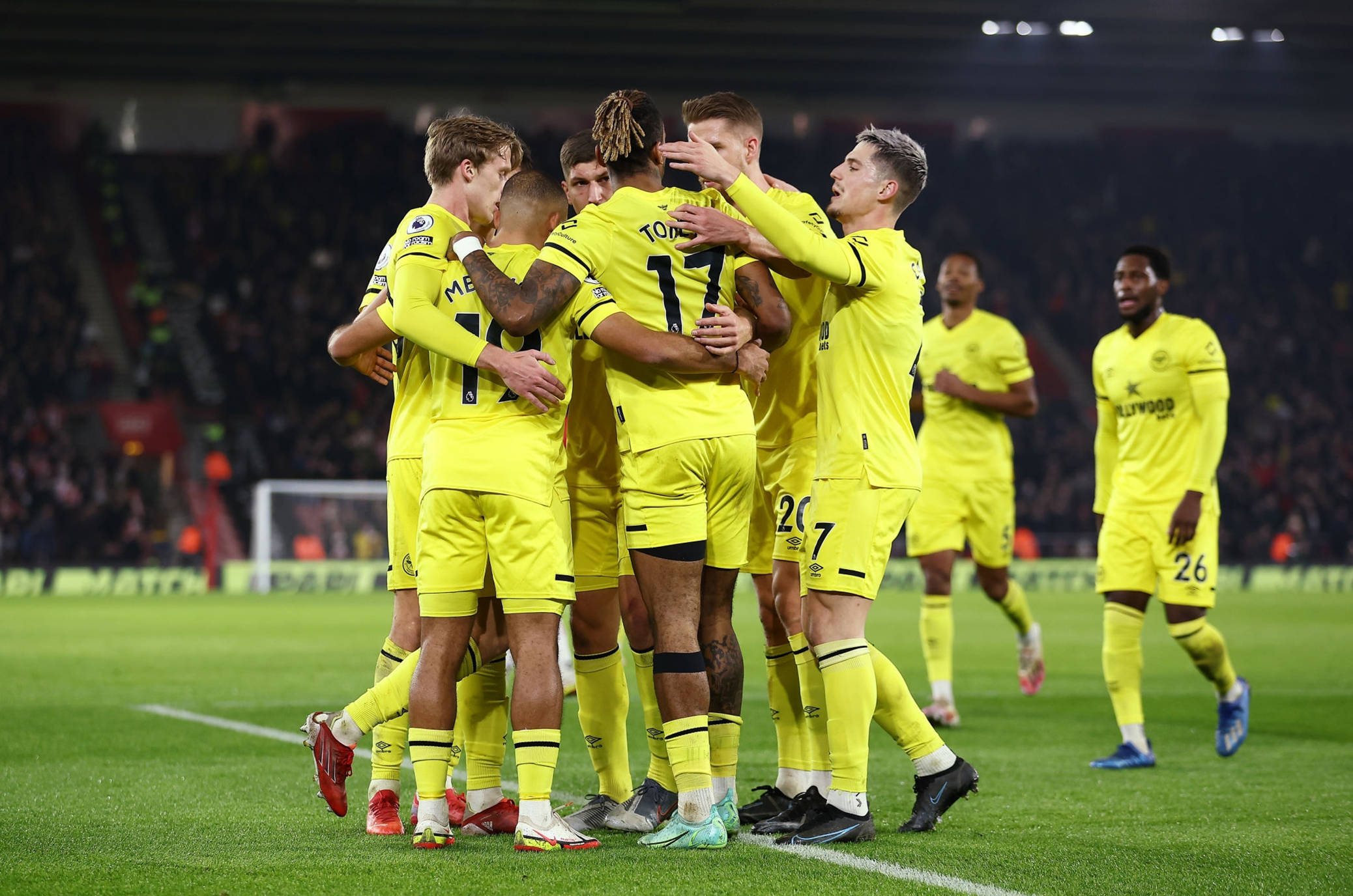 法国的翼装 法国的翼装