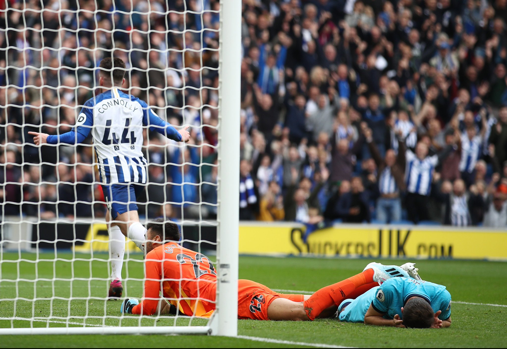 潜力及影响 潜力及影响