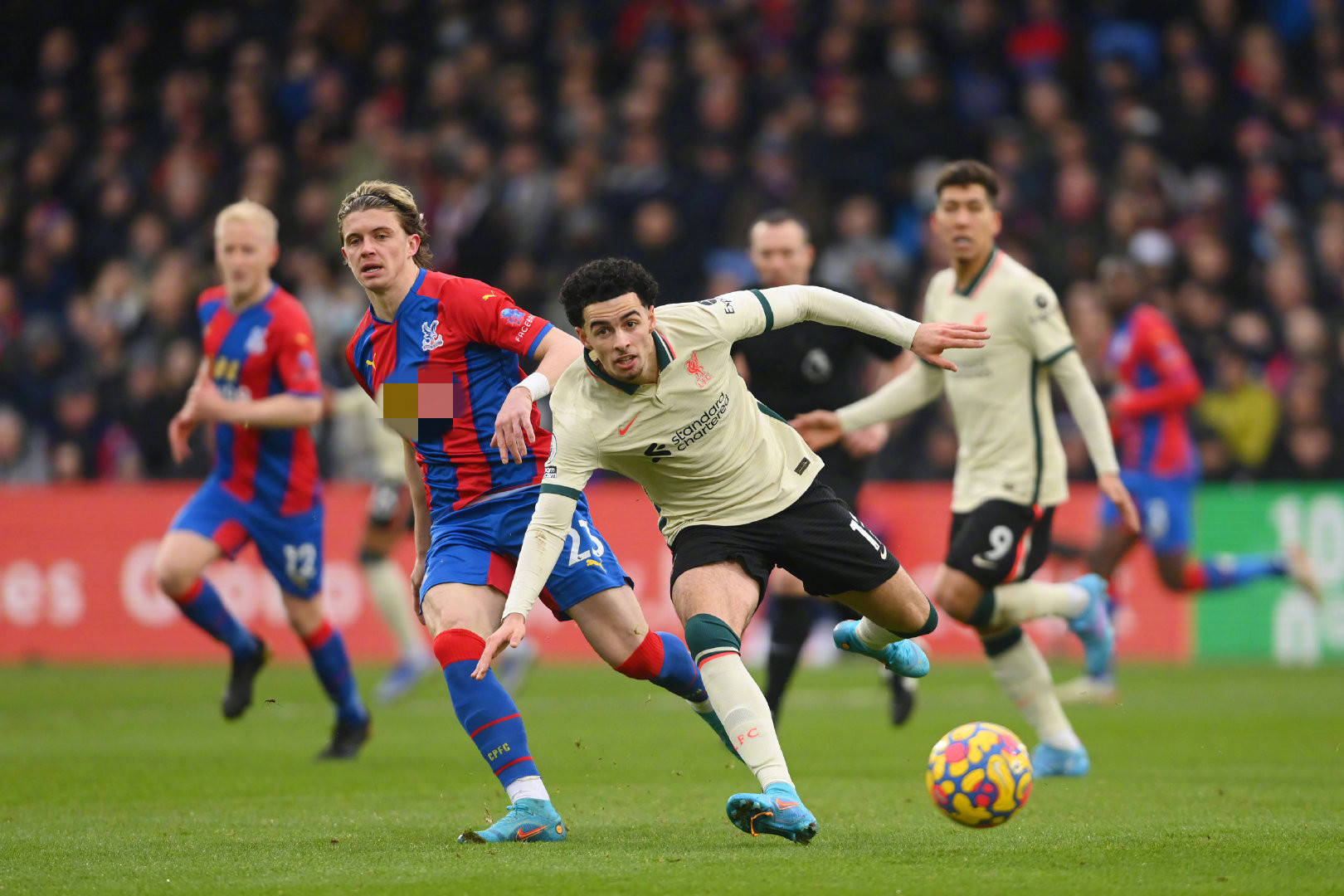 说明巴萨续 说明巴萨续