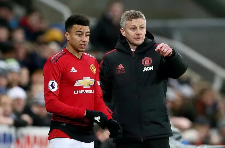 山东泰山的 山东泰山的